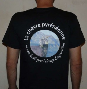 Tshirt