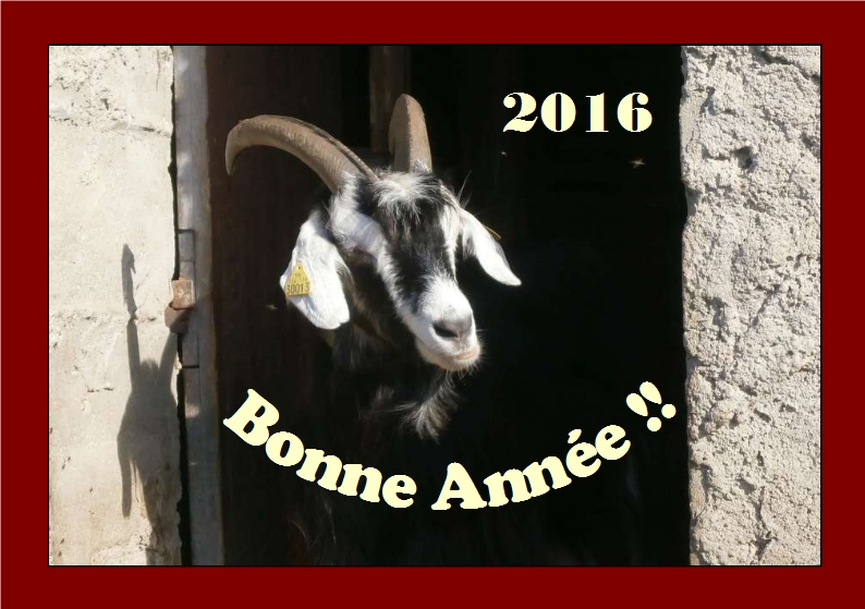 Voeux 2016