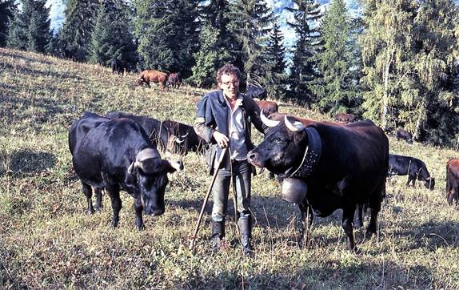 Une image contenant herbe, extérieur, arbre, vache

Description générée automatiquement