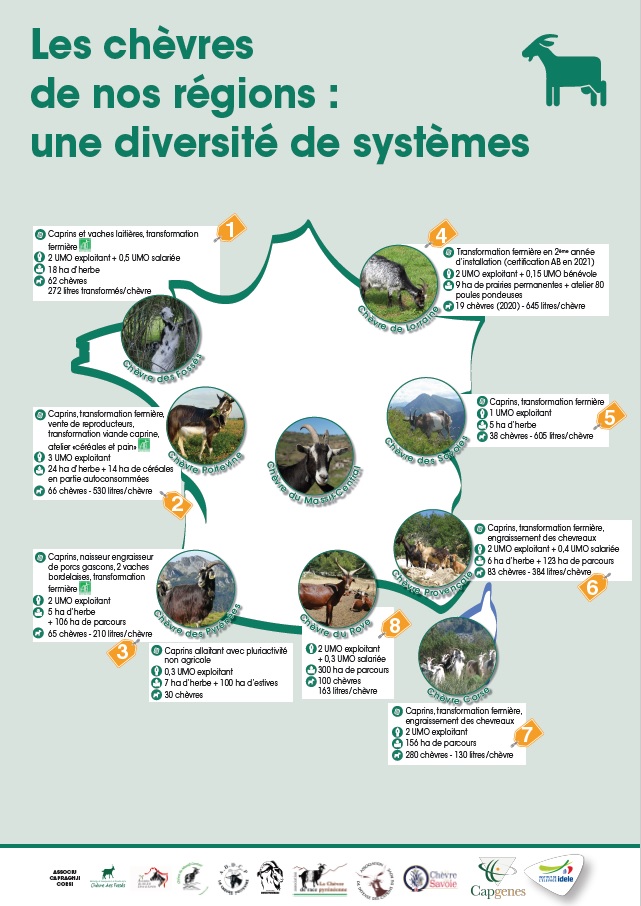 Si le choix de la race peut parfois être un choix « passion », il ne doit pas être pris à la légère : c’est parfois un point de départ autour duquel se construit le projet en tenant compte des spécificités et des aptitudes de la race, ou bien un choix qui découle d’un projet d’élevage précis, s’appuyant sur la rusticité des animaux par exemple. Il faut garder à l’esprit que n’importe quelle race n’est pas adaptée à n’importe quel système.