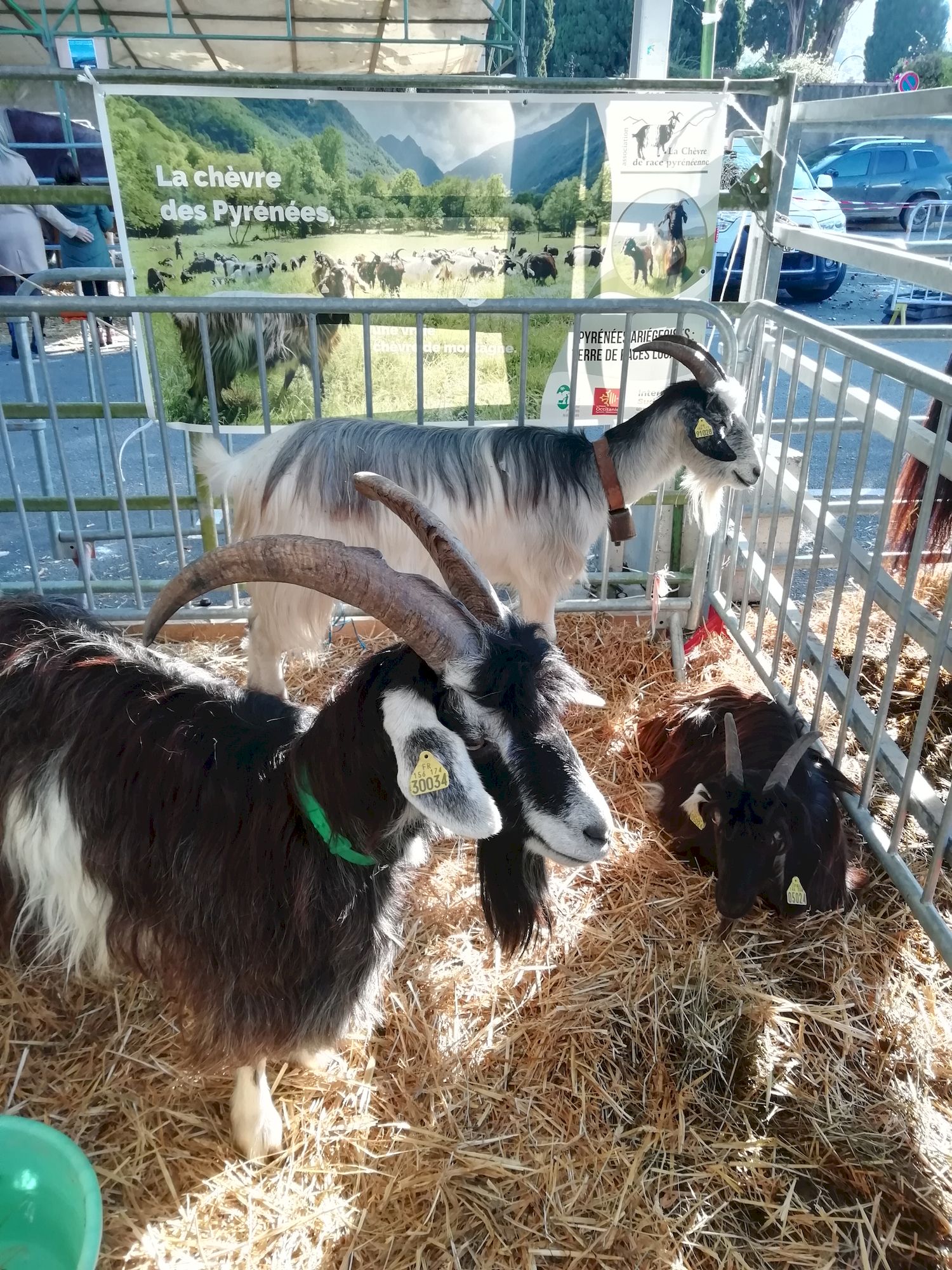 Foire de la Barguillère à Foix (09) les 15 et 16 octobre 2022 – La ...