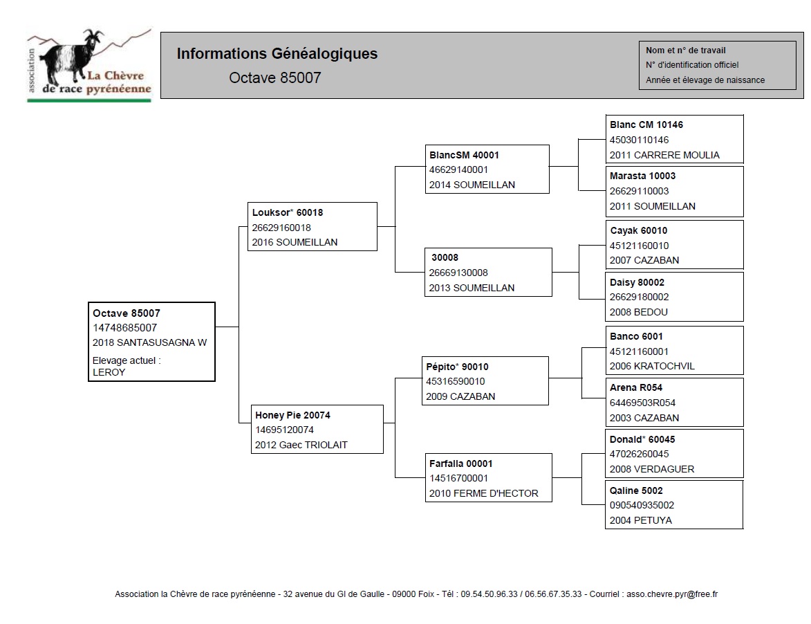 Livre Généalogique de la race Chèvre des Pyrénées
